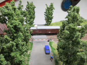 IMG_9868.JPG