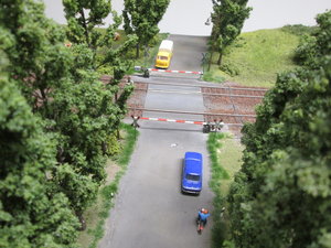 IMG_9869.JPG