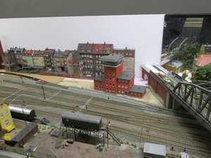 IMG_9879.JPG