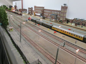 IMG_9882.JPG