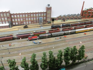 IMG_9883.JPG