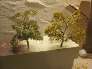 IMG_9940.JPG