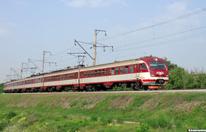 3786.jpg