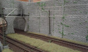 20200203_231020.jpg