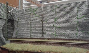 20200203_231105.jpg