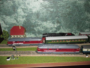 IMG_9462.JPG