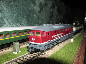 IMG_9461.JPG