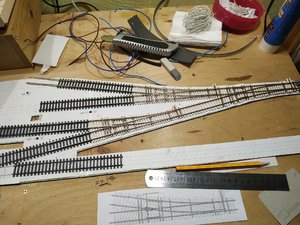 IMG_20200209_171821_resize_19.jpg