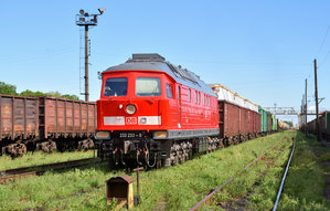 233 233-6 Сарны [5.19].jpg