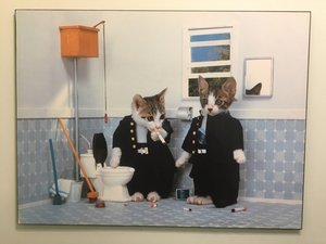 Cats WC.jpg
