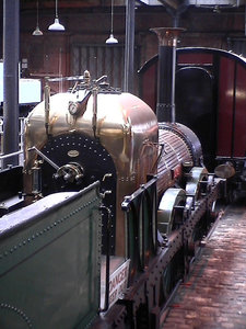 lion-07.jpg