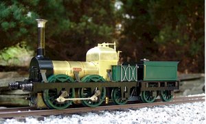 lion 04.jpg