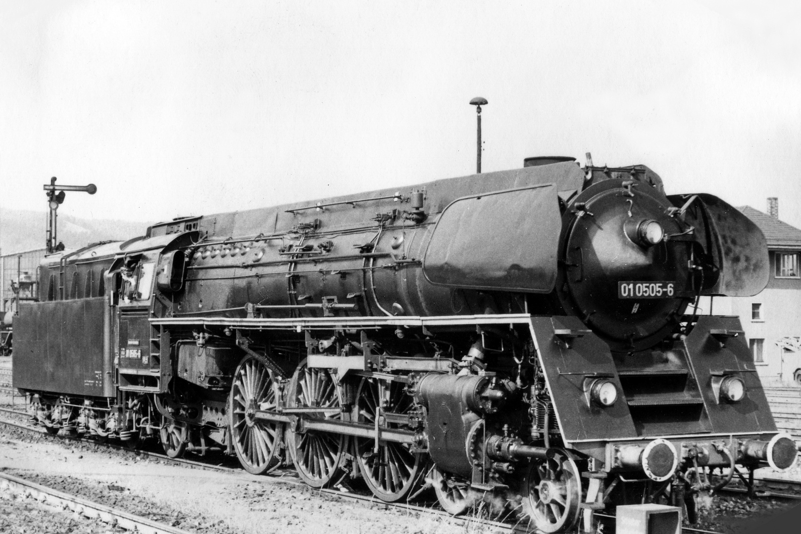 mein-favorit-unter-den-spitzmaeusen-c6daacd8-1300-442f-b64c-422e4a6b840b.jpg