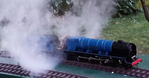 1510_z.jpg