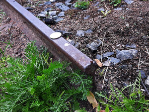 rail.jpg