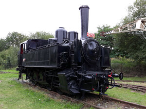 4220622.jpg