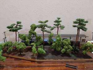 20200517_212352_compress6.jpg