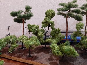 20200517_212450_compress30.jpg