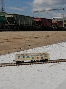 IMG_20200622_125126.jpg