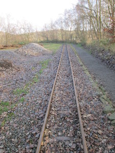11 025.jpg
