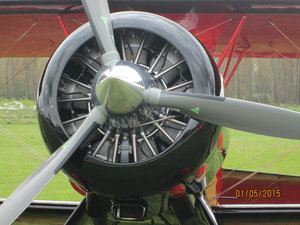 2015-05-01 126.jpg