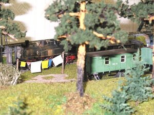 1091638_600.jpg