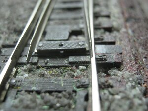 IMG_2400.JPG
