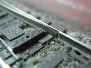IMG_2401.JPG