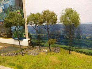 IMG_20201008_122441a.jpg