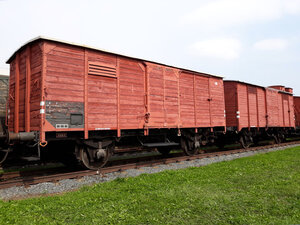 20190824_153601.jpg