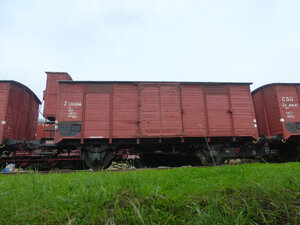P1360264.JPG