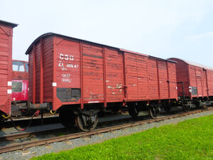 P1360265.JPG