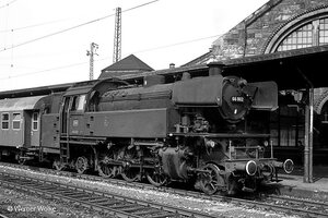 hen_28924_58.jpg