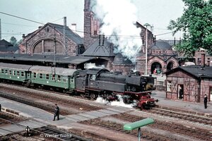 hen_28924_67.jpg