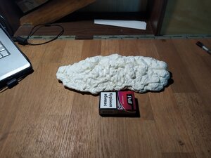 IMG_20200819_214018.jpg