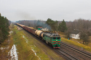 264508.jpg