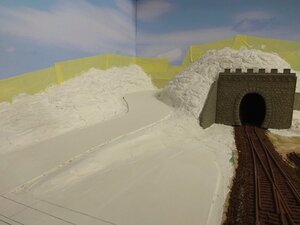 IMG_20201206_120358a.jpg