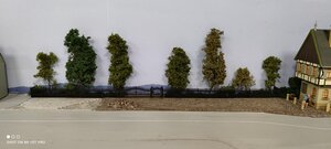 IMG_20210217_205224a.jpg
