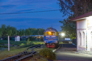 IMG_9331.jpg