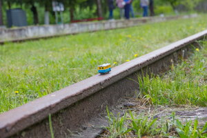 IMG_9429.jpg
