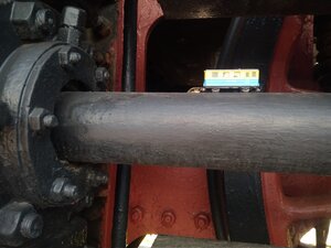 IMG_20210612_141651_1.jpg