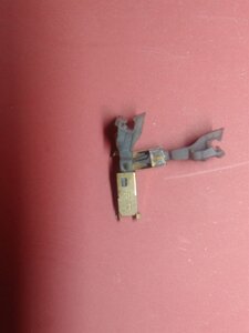 IMG_20210817_231103.jpg