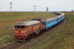 55946.jpg