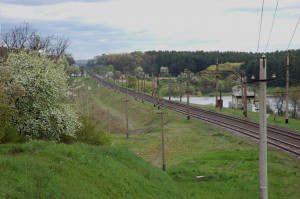 Снетинка весной.jpg