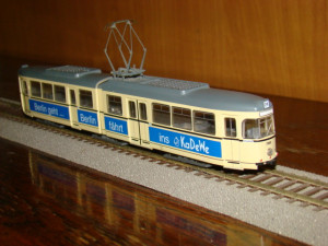 DSC03053.JPG