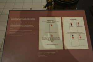 DSC_1872.JPG