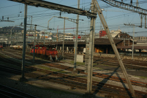 IMG_5134_L.JPG