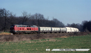 k1.jpg