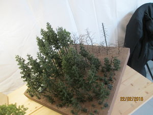 22-02 094.jpg