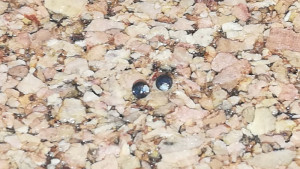 H0-H0e Weichen17.jpg